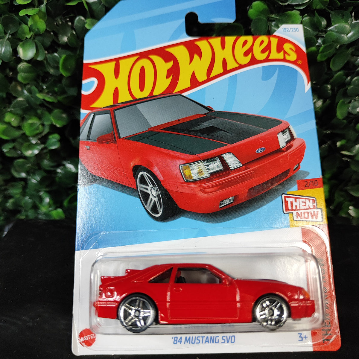 Mustang_SVO_84_2000_0 • B01 • Basico, Hotwheels